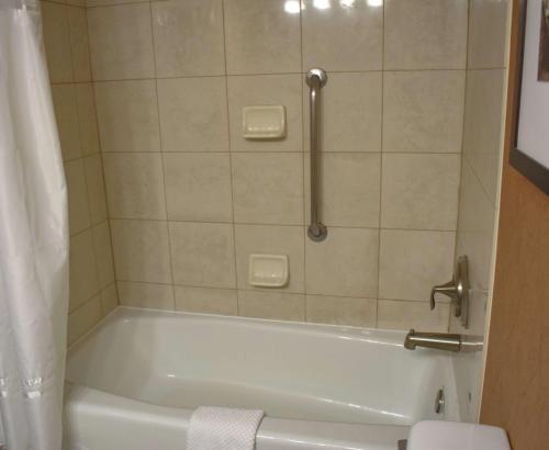 a bathroom with a bath tub with a shower at DoubleTree by Hilton Biltmore/Asheville in Asheville