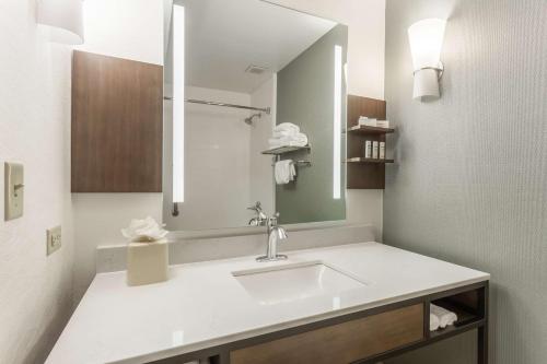 a bathroom with a sink and a mirror at Hilton Garden Inn Chicago/Tinley Park in Tinley Park