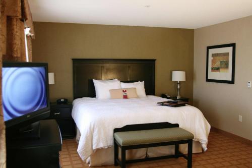um quarto de hotel com uma cama e uma televisão em Hampton Inn & Suites Chicago/Saint Charles em Saint Charles