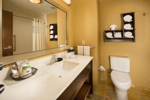 a bathroom with a sink and a toilet and a mirror at Hampton Inn Temple in Temple