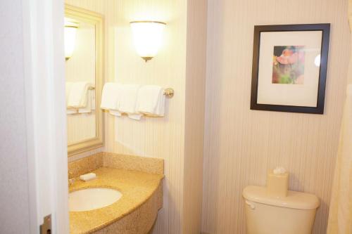 Hilton Garden Inn Redding في ريدينغ: حمام مع حوض ومرحاض ومرآة