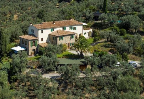 una vista aérea de una casa con árboles y arbustos en Olive Tree Suites Farmstay Villa, en Lamporecchio