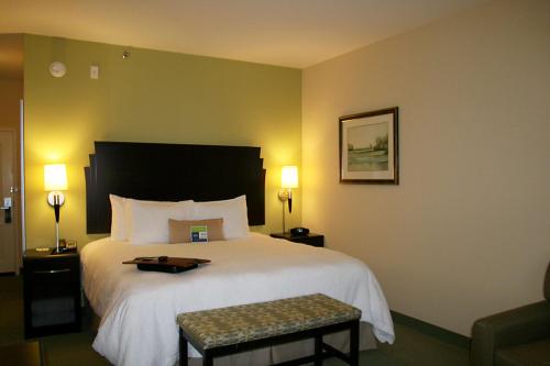 pokój hotelowy z łóżkiem z tacą w obiekcie Hampton Inn Alpine w mieście Alpine