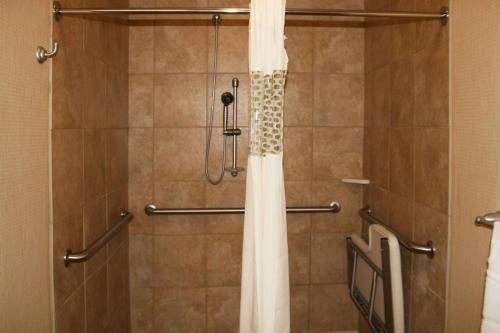 a shower with a shower curtain in a bathroom at Hampton Inn Alpine in Alpine