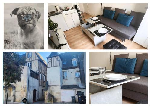 un collage de photos d'un salon avec un chien dans l'établissement 