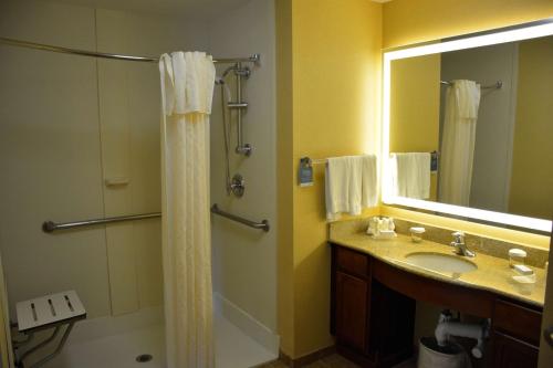 a bathroom with a shower and a sink and a mirror at Homewood Suites by Hilton Brighton in Brighton