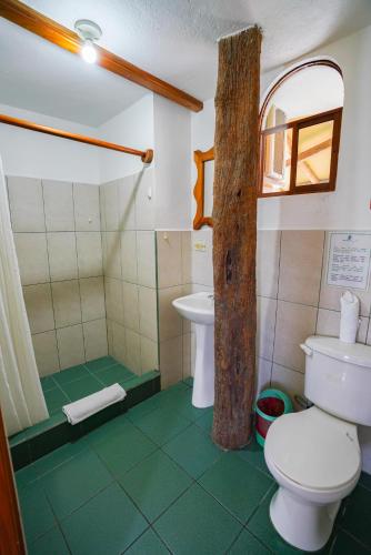 Un baño de Galapagos Verde Azul