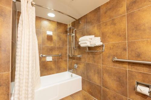 a bathroom with a tub and a shower with a shower curtain at DoubleTree by Hilton Dallas/Richardson in Richardson