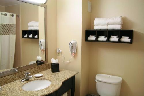 a bathroom with a sink and a toilet and a mirror at Hampton Inn Topeka in Topeka