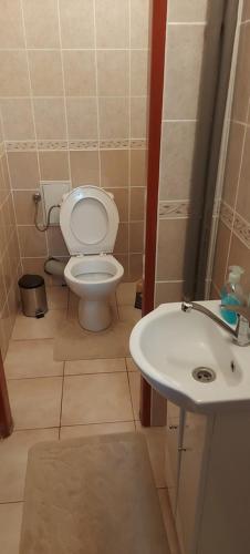 a bathroom with a toilet and a sink at Apartment v historickom centre in Bardejov