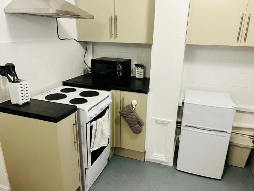 Centrally located modern flat في لندن: مطبخ صغير مع موقد وثلاجة