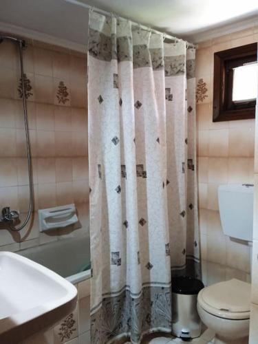 a bathroom with a toilet and a shower curtain at Gold Coast cottage house, ideal for families in Sozopoli