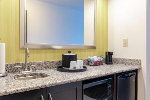 a kitchen counter with a sink and a mirror at Hampton Inn & Suites Saginaw in Saginaw
