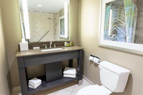 a bathroom with a sink and a toilet and a mirror at Hilton Niagara Falls/ Fallsview Hotel and Suites in Niagara Falls