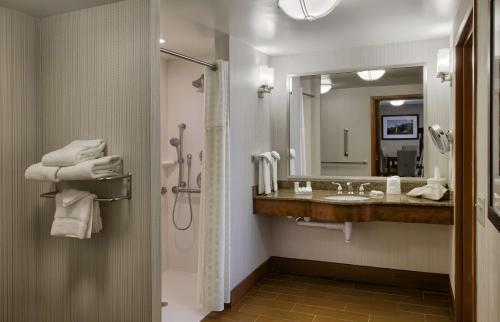 a bathroom with a sink and a shower and a mirror at Hilton Garden Inn Durham-University Medical Center in Durham