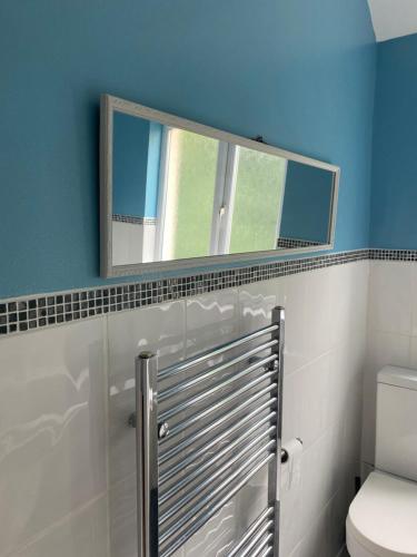 La salle de bains est pourvue d'un miroir et de toilettes. dans l'établissement Richards Retreat Blackpool, à Blackpool