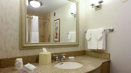 a bathroom with a sink and a mirror at Hilton Garden Inn Secaucus/Meadowlands in Secaucus