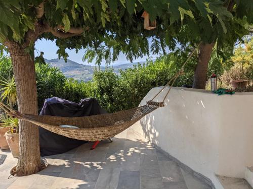 un hamac suspendu à un arbre à côté d'un mur dans l'établissement Studio indépendant, accès piscine, au Castellet