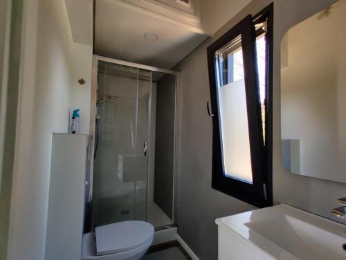 a bathroom with a shower and a toilet and a sink at Pod Gwiazdami in Cisna