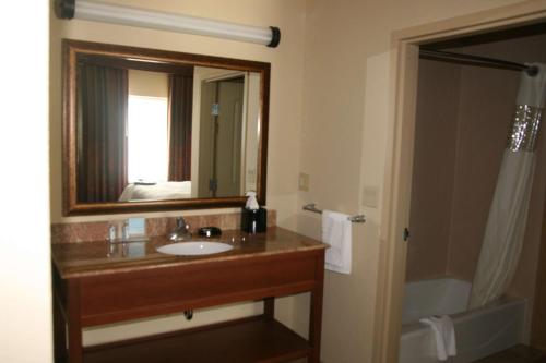 a bathroom with a sink and a mirror and a tub at Hampton Inn & Suites New Braunfels in New Braunfels