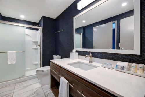La salle de bains est pourvue d'un lavabo, de toilettes et d'un miroir. dans l'établissement Home2 Suites By Hilton Nashville Downtown-Metrocenter, à Nashville