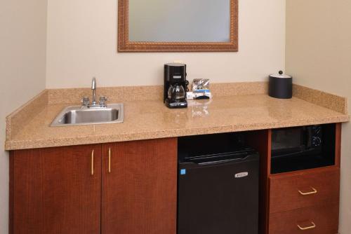 a kitchen counter with a sink and a microwave at Hampton Inn by Hilton Litchfield in Litchfield
