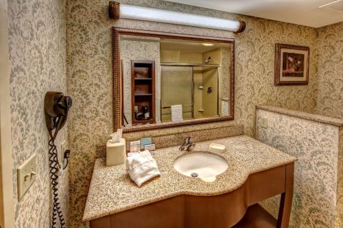 a bathroom with a sink and a mirror at Hampton Inn Manning in Manning