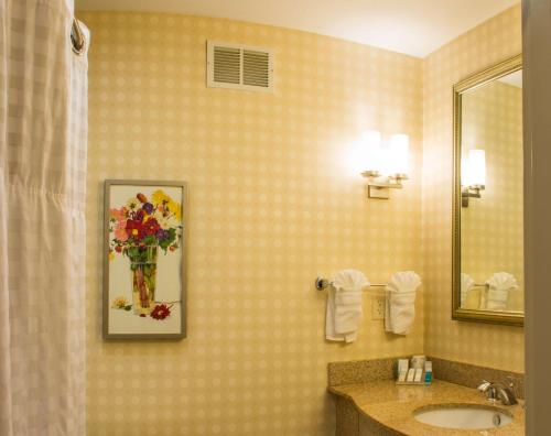 a bathroom with a sink and a flower painting on the wall at Hilton Garden Inn Elkhart in Elkhart