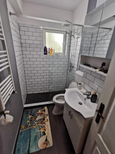 La salle de bains est pourvue d'une douche, d'un lavabo et de toilettes. dans l'établissement Apartament Ocnele Mari, à Ocnele Mari