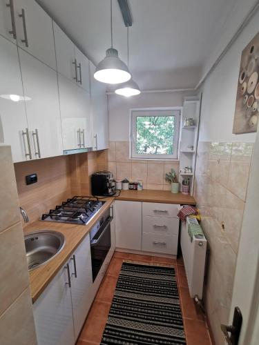 a small kitchen with a sink and a stove at Apartament Ocnele Mari in Ocnele Mari