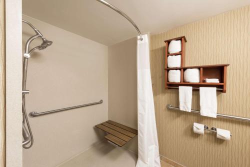 een badkamer met een douche en een douchegordijn bij Hampton Inn Branson on the Strip in Branson