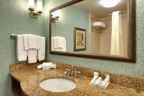 ein Bad mit einem Waschbecken und einem Spiegel in der Unterkunft Hilton Garden Inn Clarksville in Clarksville
