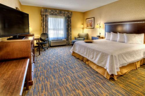 a hotel room with a bed and a flat screen tv at Hampton Inn Roanoke Rapids in Roanoke Rapids