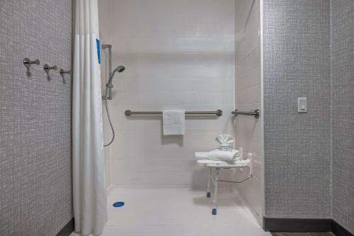 Hampton Inn San Antonio Downtown في سان انطونيو: حمام مع دش ومغسلة