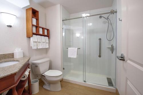 a bathroom with a shower and a toilet and a sink at Hampton Inn & Suites Williamsburg-Richmond Road in Williamsburg