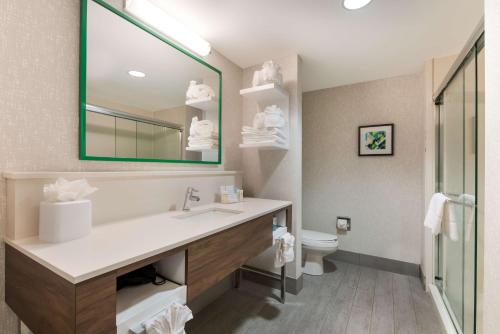 a bathroom with a sink and a toilet and a mirror at Hampton Inn & Suites Charlotte-Airport in Charlotte