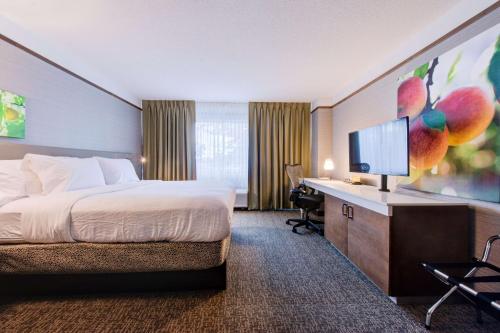 a hotel room with a bed and a desk with a television at Hilton Garden Inn Detroit Southfield in Southfield