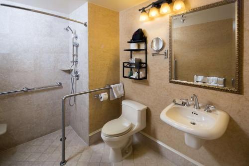 a bathroom with a toilet and a sink and a mirror at The Seelbach Hilton Louisville in Louisville