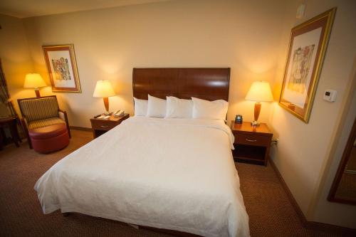 a hotel room with a large bed and a chair at Hilton Garden Inn Montebello / Los Angeles in Montebello