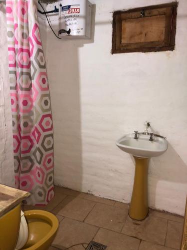 ein Bad mit einem Waschbecken und einem Duschvorhang in der Unterkunft REMODELAMOS casa sobre el rio a 100 mts del mercado municipal in Tilcara