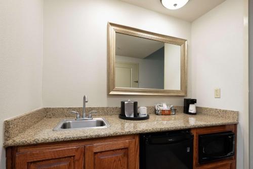 a bathroom with a sink and a mirror at Hampton Inn & Suites Baton Rouge - I-10 East in Baton Rouge