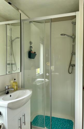 a bathroom with a shower and a sink at Honeycomb Lodge in Dollar