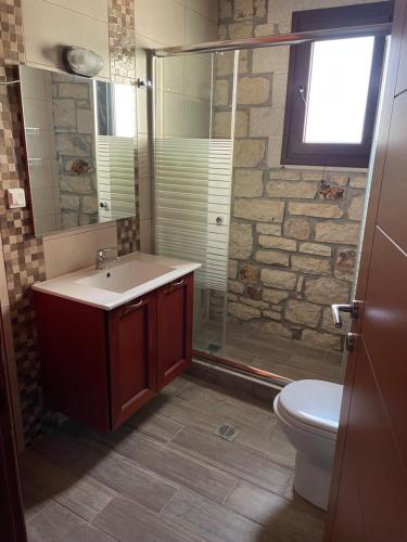 a bathroom with a sink and a shower and a toilet at Villa Maria 2 in Gliki