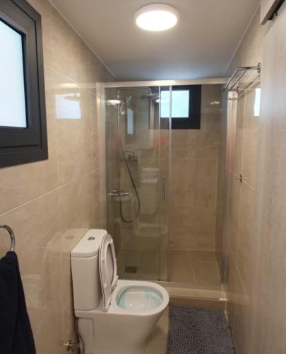 ein Bad mit einem WC und einer Dusche mit einer Glastür in der Unterkunft Village Gem Peledri Studio in Pelendri