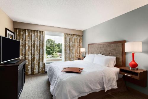 a hotel room with a bed and a television at Hampton Inn & Suites Hershey Near the Park in Hummelstown