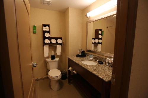 a bathroom with a toilet and a sink and a mirror at Hampton Inn - Atmore in Atmore
