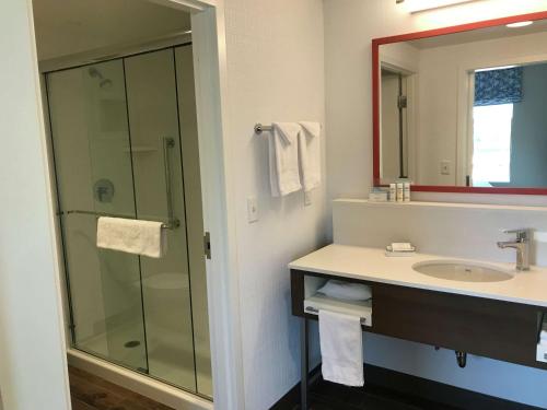 een badkamer met een wastafel en een douche bij Hampton Inn & Suites St. George in St. George