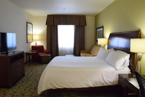 a hotel room with a large bed and a television at Hilton Garden Inn Rochester Downtown, NY in Rochester