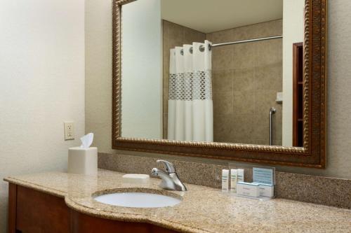 a bathroom with a sink and a mirror and a shower at Hampton Inn & Suites Pharr in Pharr