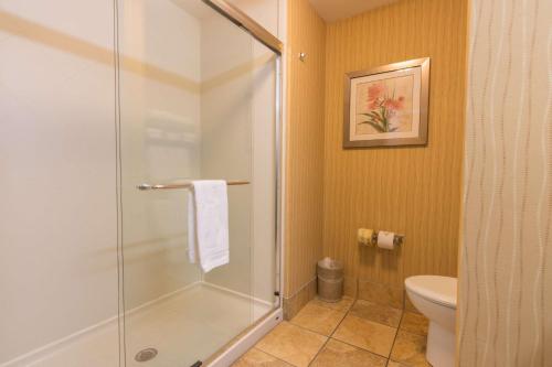 a bathroom with a shower and a toilet at Hampton Inn Bangor in Bangor